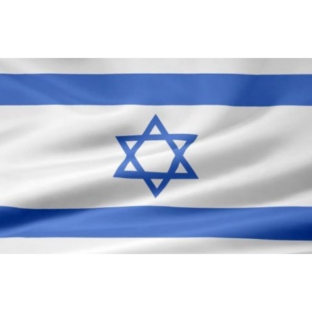 Vlajka Izrael, zástava