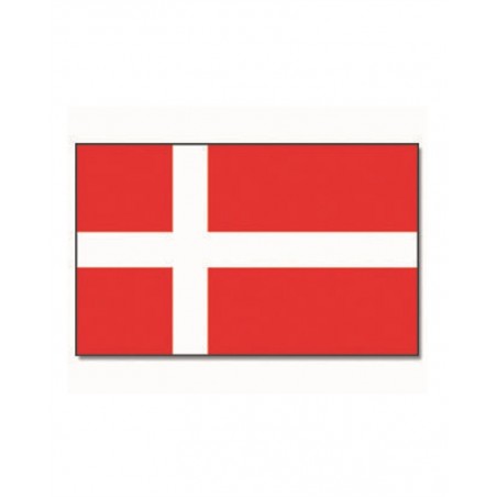 Vlajka Dánsko, zástava