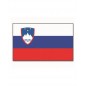 Vlajka Slovinsko, zástava